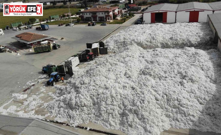 TARİŞ’e rağbet arttı, depolar 10 bin 200 ton pamukla doldu