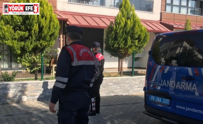 Terör örgütü propagandası yapan ve Cumhurbaşkanına hakaret eden bir şahıs gözaltına alındı