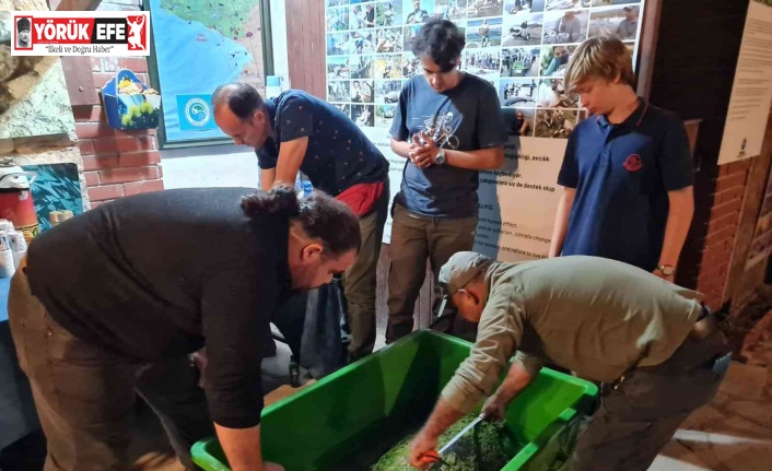 Vatandaşların dikkati ve işbirliği, 2 deniz kaplumbağasını kurtardı