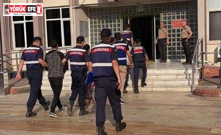 Zeytin fabrikasından hırsızlık yapan şahıslar suçüstü yakalandı