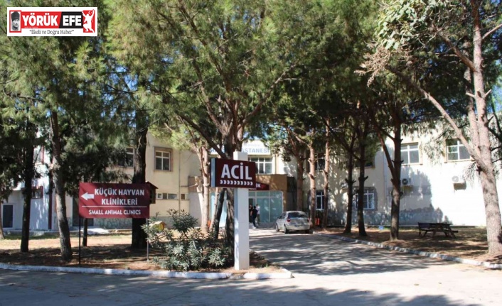 ADÜ Veteriner Fakültesi Hastanesi yılda 7 bin hasta hayvana bakıyor