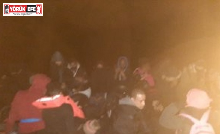 Aydın’da 53 düzensiz göçmen yakalandı