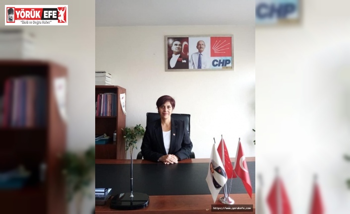 CHP Efeler İlçe” Kadın cinayetleri politiktir”