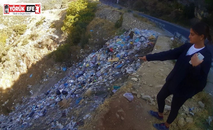 Koçak Kanyonu, vahşi depolama alanına döndü