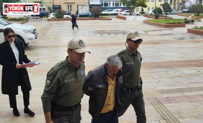 Köpek tecavüzcüsü tutuklandı