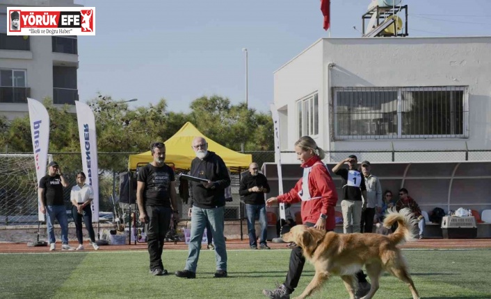 Kuşadası geleceğin arama kurtarma köpeklerini ağırladı