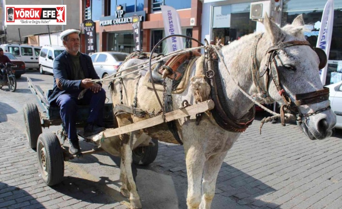 Sayıları az kalsa da ekmek parası için çalışıyorlar