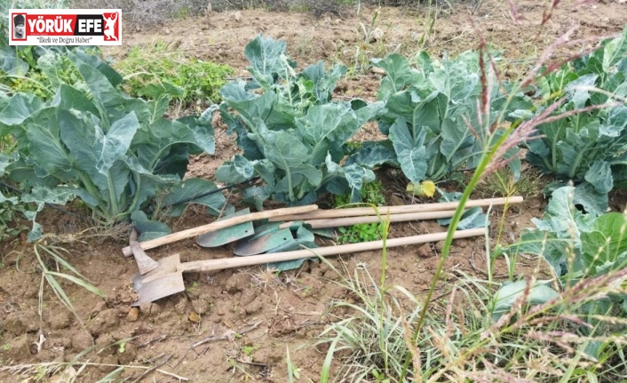 Antik kentte kaçak kazıya jandarma baskını