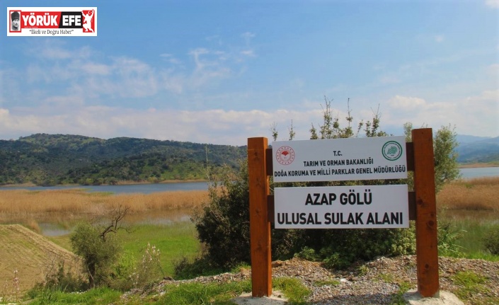 Aydın’da doğaseverler Azap Gölü’ne dikkat çekti