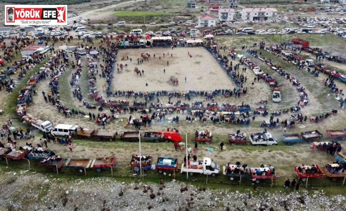 Başkan Erol’dan Deve Güreşi Şenliklerine davet