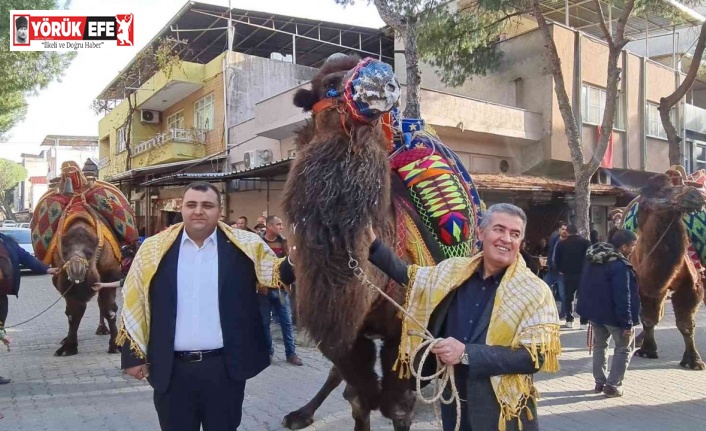 Buharkent’te güreşecek develer şehir turuna çıktı