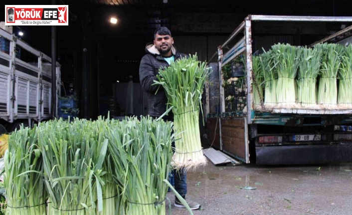 Grip mevsimi geldi pırasaya olan ilgi arttı