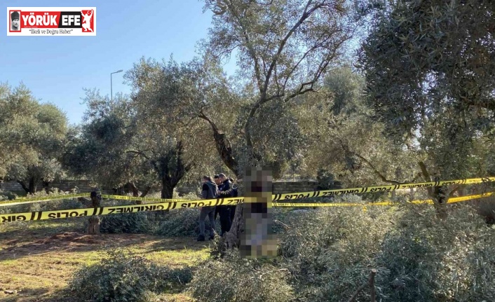 İnşaat işçileri gördü, polise haber verdi