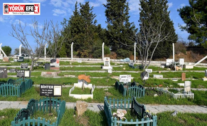 Kuşadası hayvan mezarlığına 3 yılda 335 hayvan gömüldü