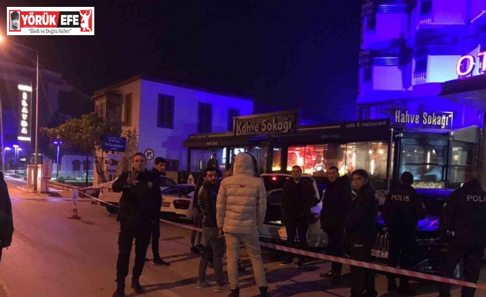 Park halindeki otomobil kurşunlandı