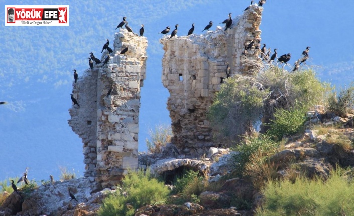 Uygarlıklar Kavşağı Aydın, tarihe ev sahipliği yapmaya devam ediyor