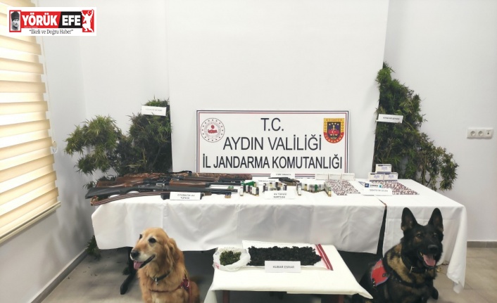 Uyuşturucular jandarmanın hassas burunlarına takıldı
