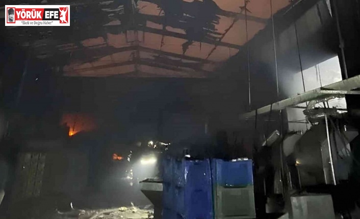 Zeytin fabrikasında çıkan yangın büyük çapta maddi hasara yol açtı