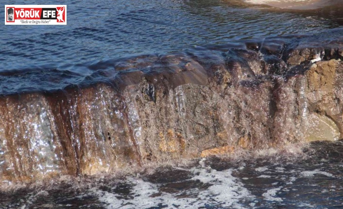 Zeytin sezonu başladı, Köşk Çayı siyaha büründü