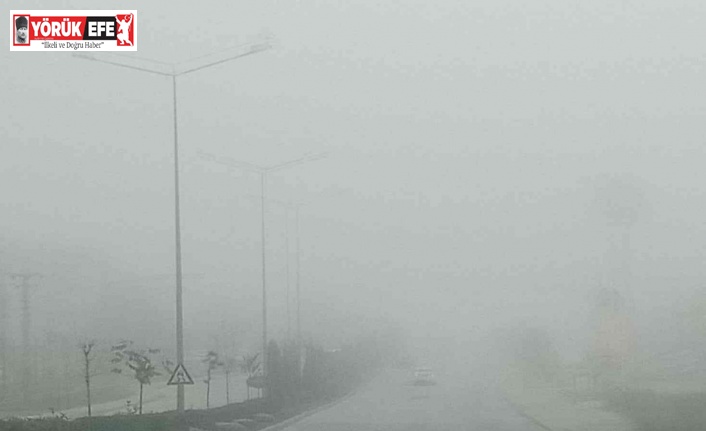 Aydın-Muğla karayolunda sis etkili oldu