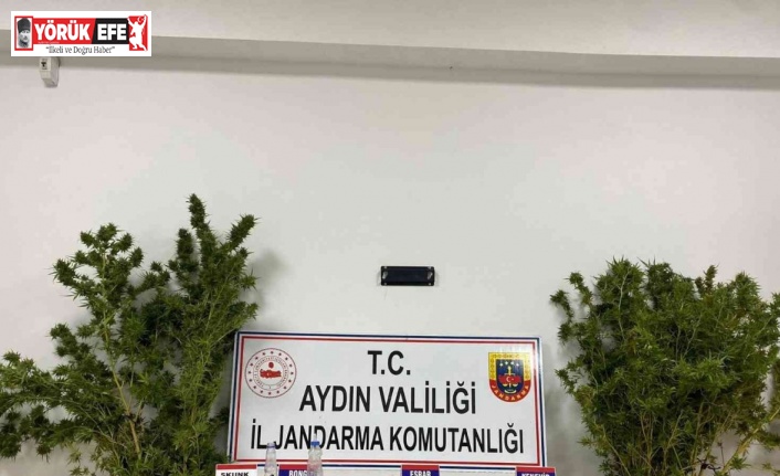 Aydın’da Jandarmanın kaçakçılık operasyonlarının bilançosu açıklandı