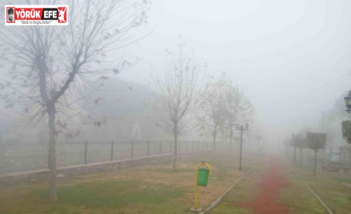 Aydın’da sis bekleniyor