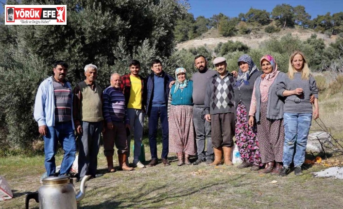 Başkan Özcan zeytin hasadına katıldı, üreticilerle bir araya geldi