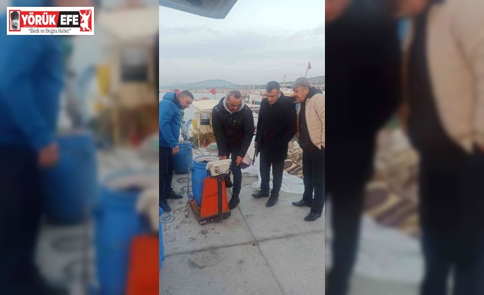 Didim’de deniz patlıcanı denetimi yapıldı