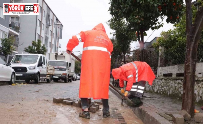 Efeler yoğun yağışta da çalışmalarını sürdürüyor