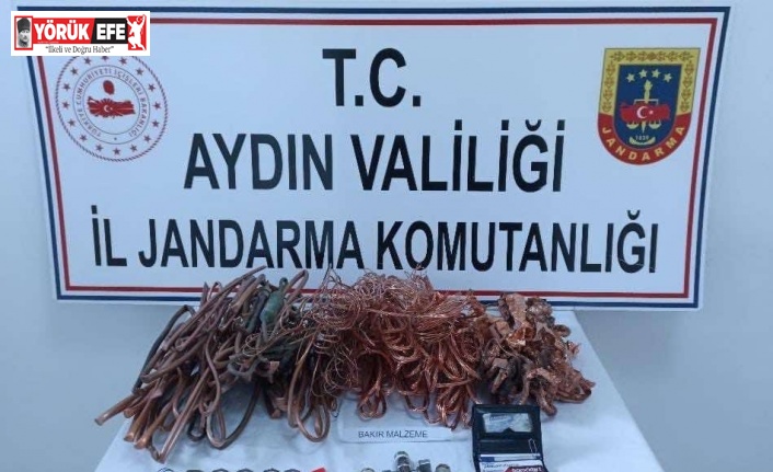 Jandarma şüphesinde haklı çıktı, hırsızları yakaladı