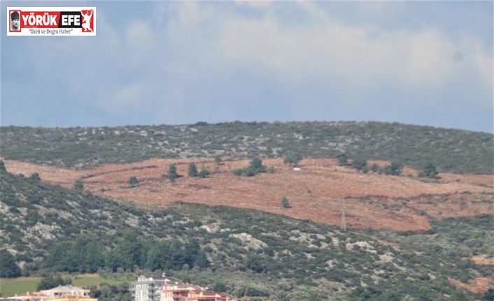 Kuşadası’nda kamu arazisi operasyonunda 4 tutuklama