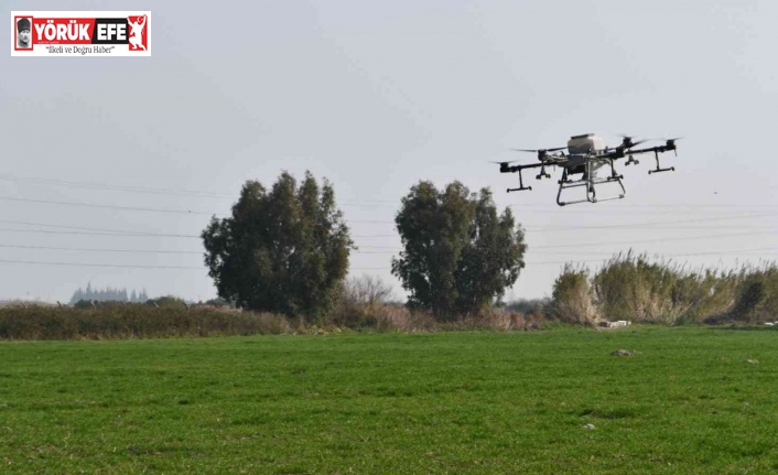 Söke Belediyesinin buğday arazisi dron ile gübrelendi