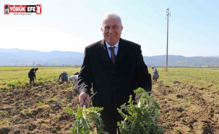 Başkan Atay, Efeler’de tarıma değer katıyor