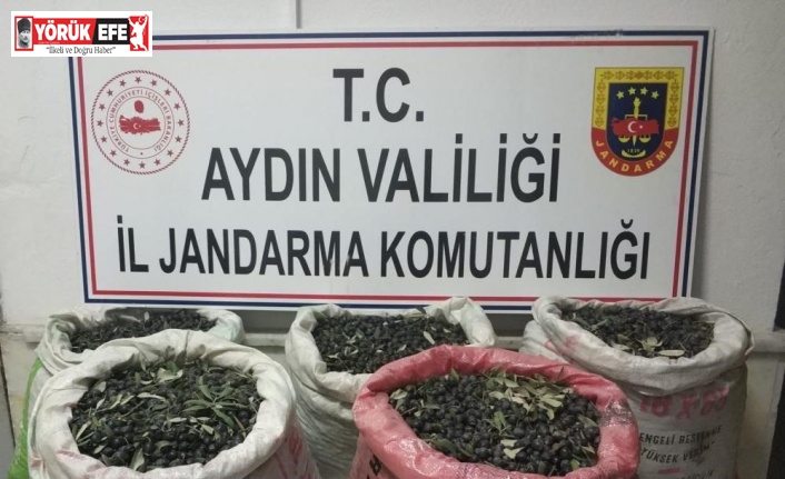 Çaldılar, yağ yapıp sattılar