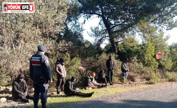 Jandarma düzensiz göçmenleri sazlık alanda yakaladı