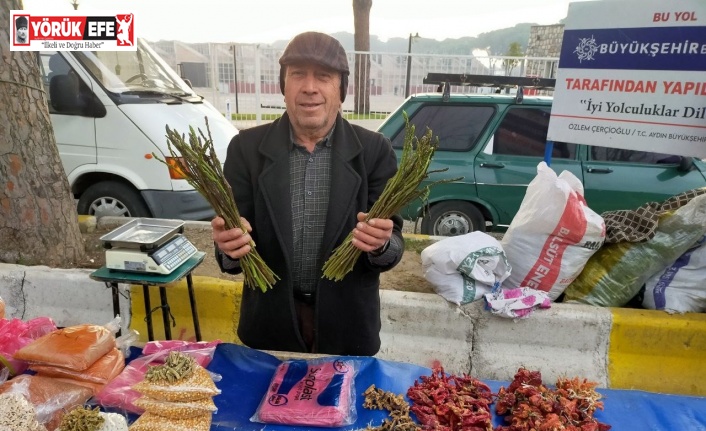 Kedirgenler pazarlardaki yerini aldı