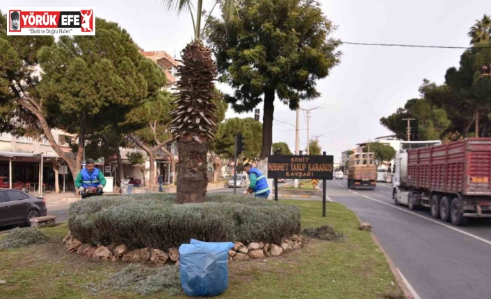 Nazilli son sürat Cumhurbaşkanı Erdoğan’ın ziyaretine hazırlanıyor