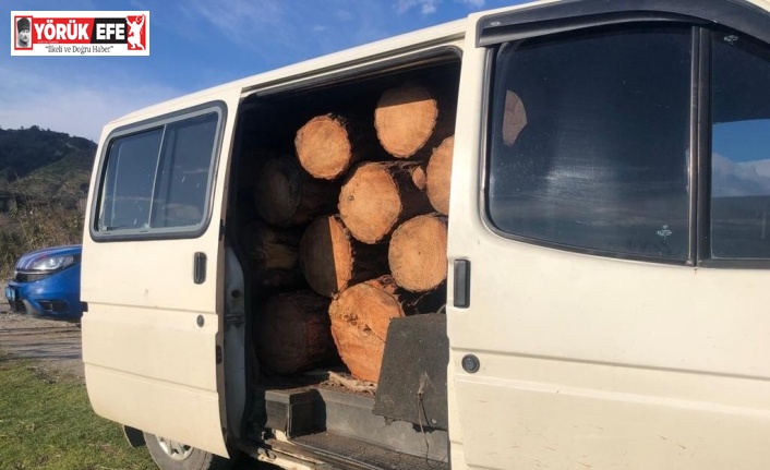 Ormanlık alandan aldığı ağaç parçalarını aracı ile taşırken yakalandı