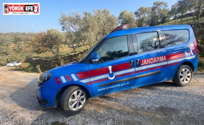 Zeytin hırsızları yakalandı