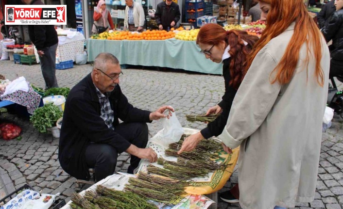 Aydın’ın acı otu, fiyatıyla da görenlerin yüzünü buruşturuyor