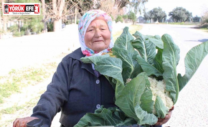 Ayşe nine üreterek genç kalıyor