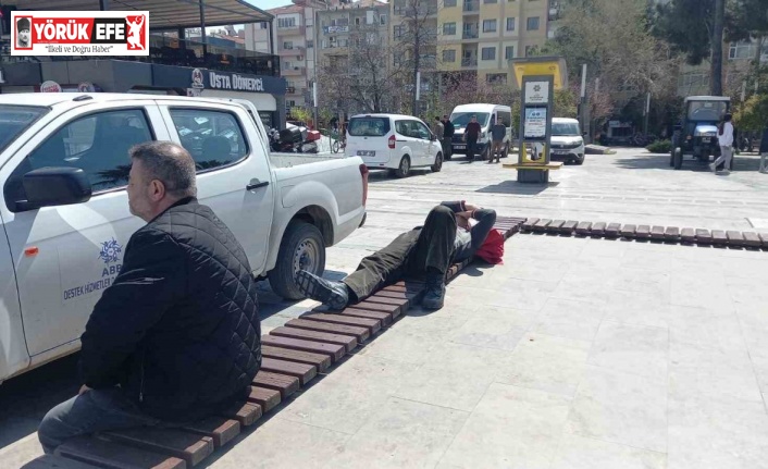 Böyle uyku keyfi görülmedi, ortalık karıştı uyku keyfini bozmadı