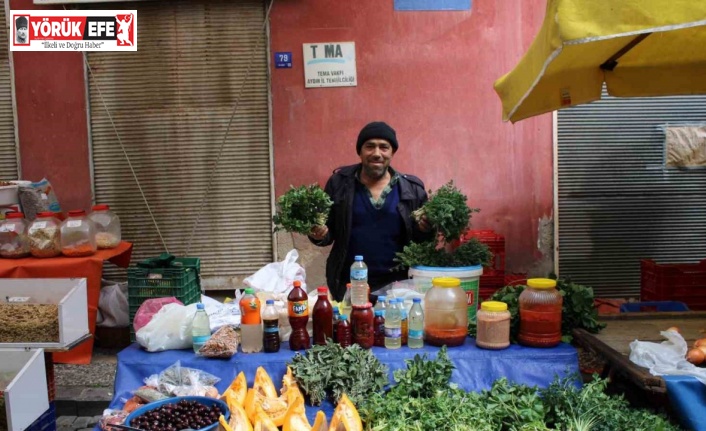 Dağlardan topladığı ot ve bitkileri pazarda satıyor