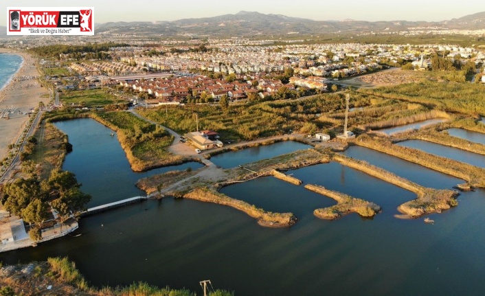 Doğaseverlerden Kocagöl için “Tabiat Parkı” statüsü talebi