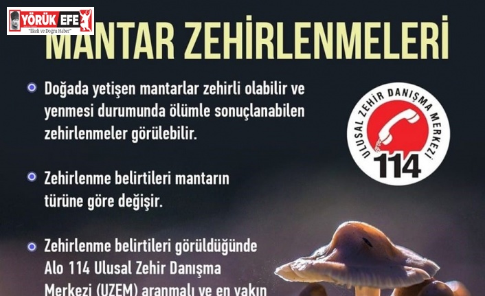 Karacasu’da türü bilinmeyen mantarların satışı yasaklandı