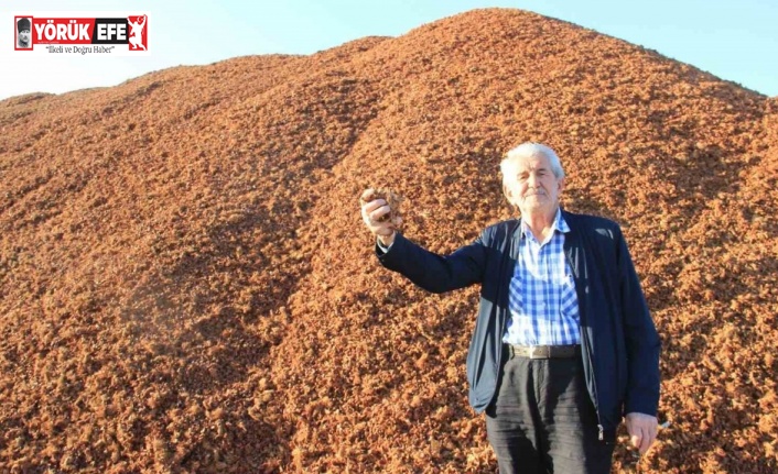 Kömür fiyatları arttı, çam fıstığı kabukları kıymete bindi