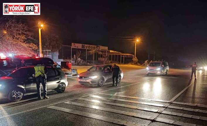 Aydın’da 1 ayda 217 araç trafikten men edildi