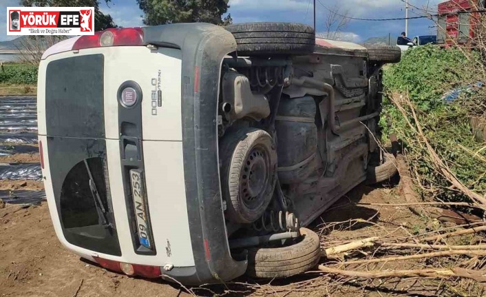 Aydın’da sürücüsünün hakimiyetini kaybettiği ticari araç tarlaya uçtu