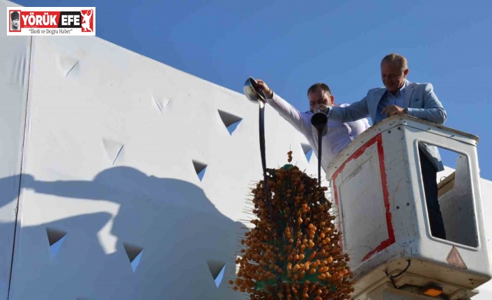 Didim Vegan Festivali’nde yeni rekor denemesi yapıldı