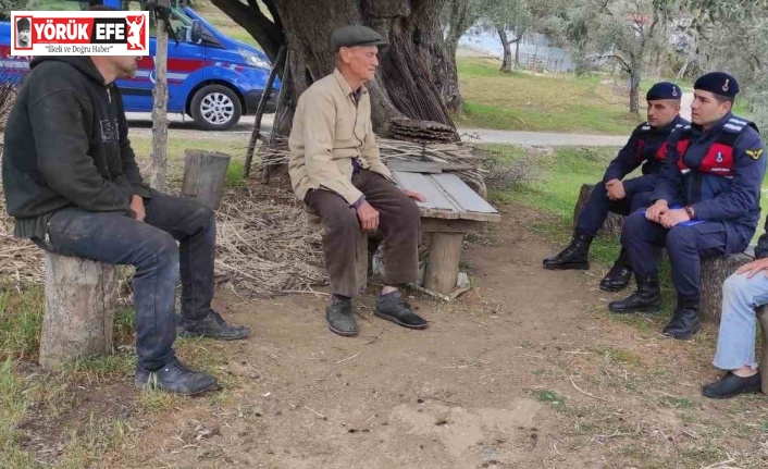 Jandarmadan yaşlı çınarlara saygı